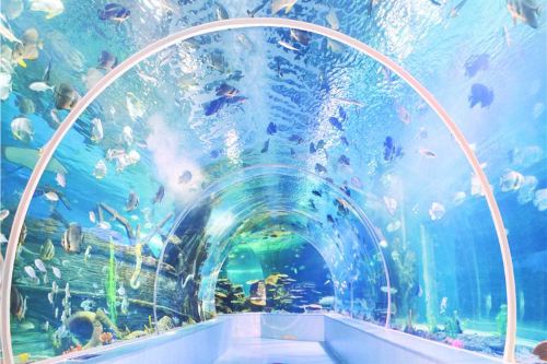 临沂海洋世界主题公园