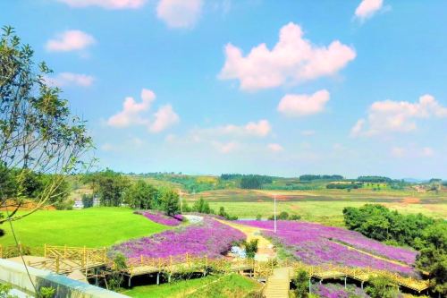 寻甸凤龙湾景区薰衣草庄园攻略-凤龙湾景区薰衣草庄园