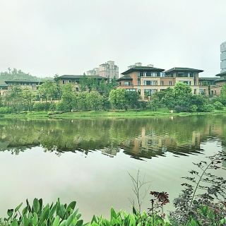 株洲合花休闲山庄攻略-合花休闲山庄门票价格多少钱