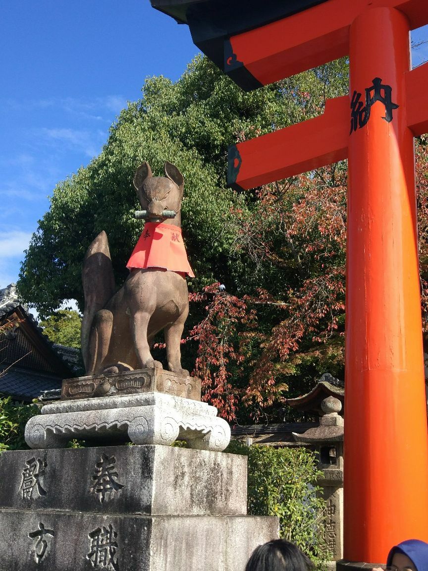 稻荷神社遍布各地,护佑农业,商业繁荣兴旺,总部就是伏见稻荷大社,狐狸