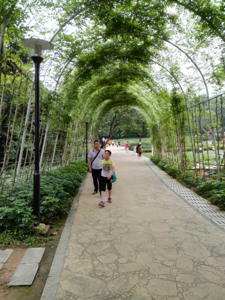 广州天河儿童公园好玩吗,广州天河儿童公园景点怎么样
