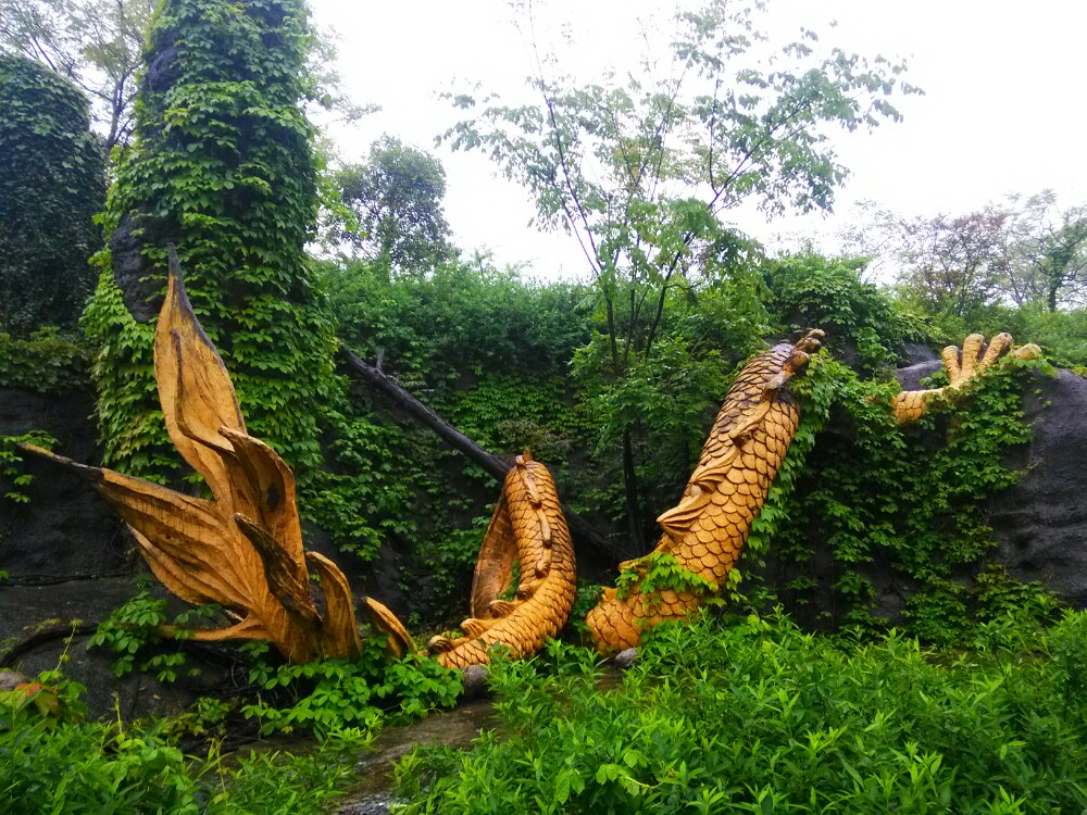 龙背山森林公园