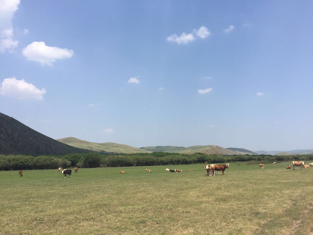 白音锡勒牧场景区