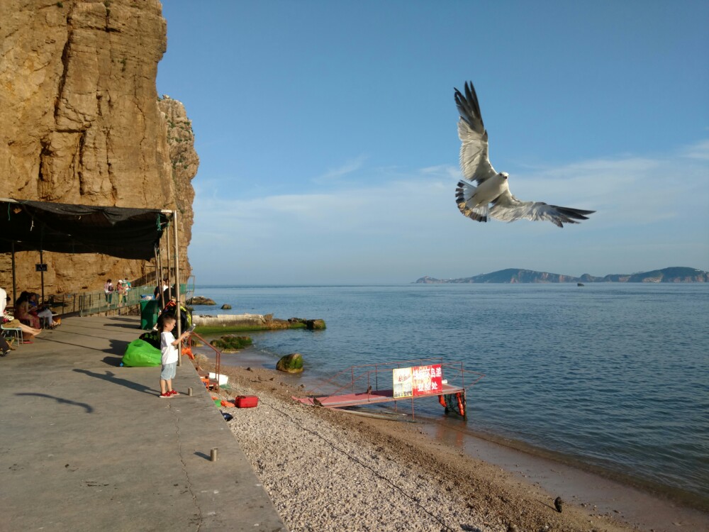 荣成海驴岛好玩吗,荣成海驴岛景点怎么样_点评_评价【携程攻略】