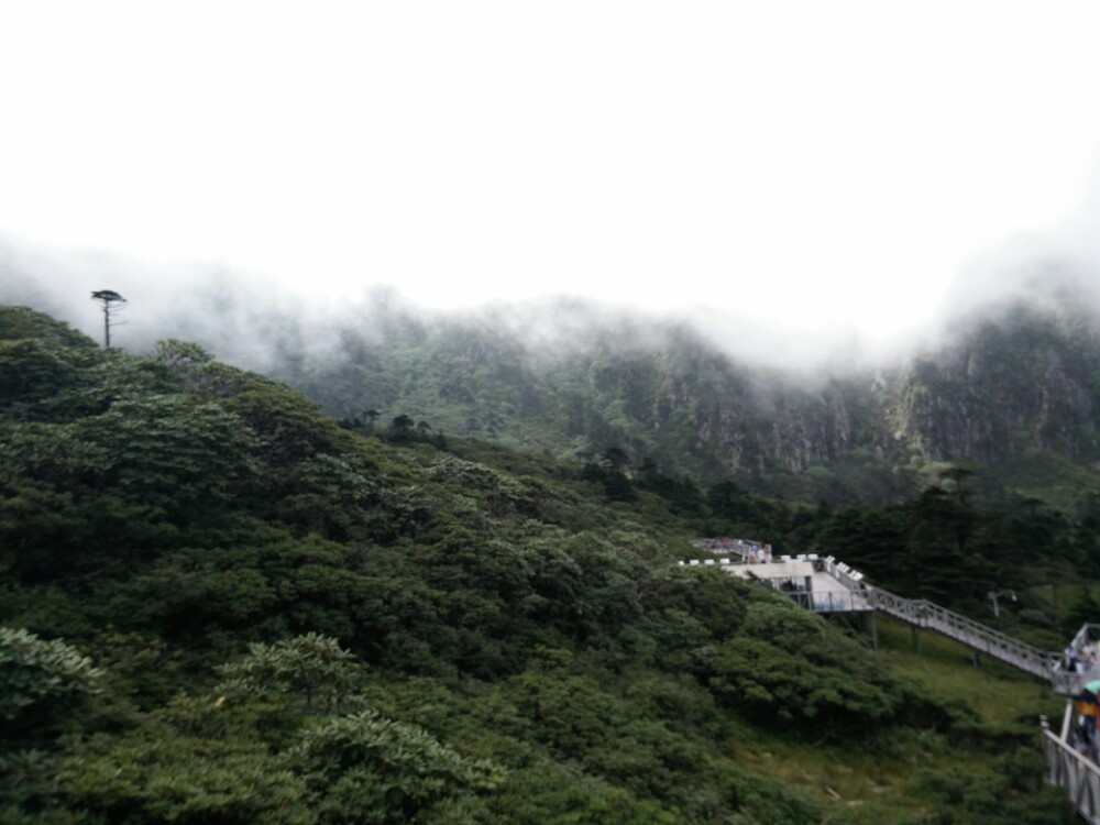 2019苍山_旅游攻略_门票_地址_游记点评,大理旅游景点