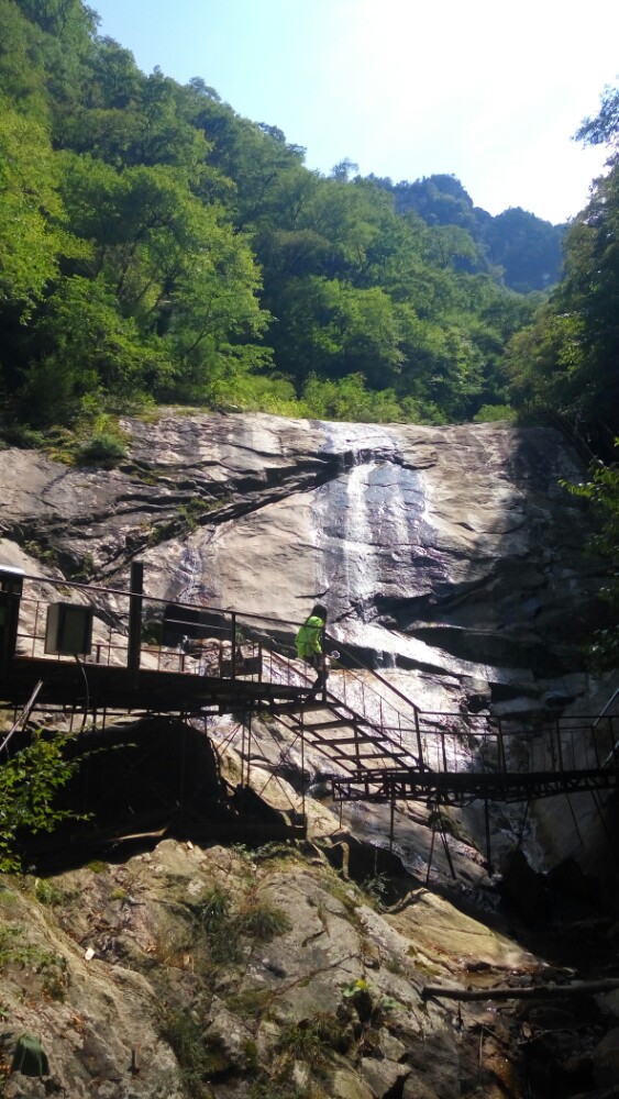 青峰峡森林公园