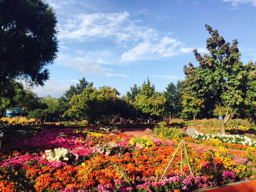 乌鲁木齐植物园