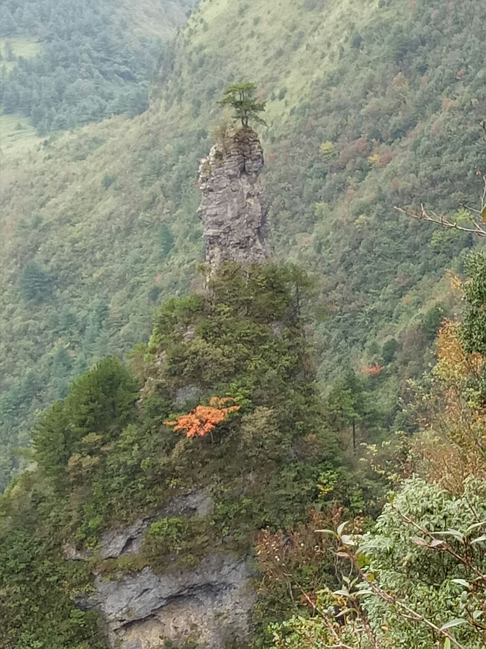 还是可以的,很适合一家人一起去玩,有玻璃栈道,独秀峰的风景也很好看