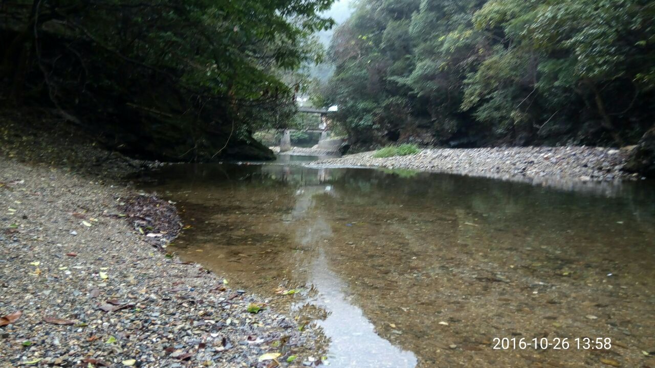 2018仙寓山_旅游攻略_门票_地址_游记点评,东至旅游