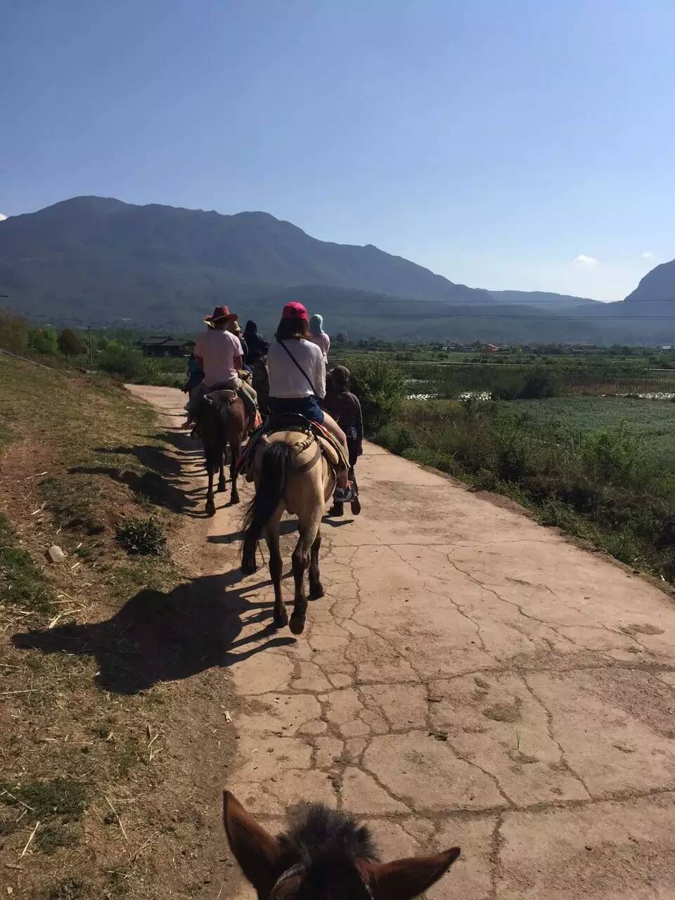 普洱茶马古道攻略,普洱茶马古道门票/游玩攻略/地址/图片/门票价格