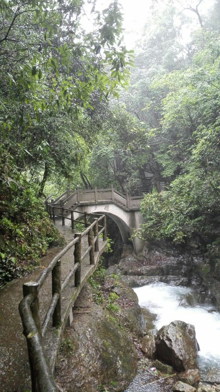 牛头山国家森林公园