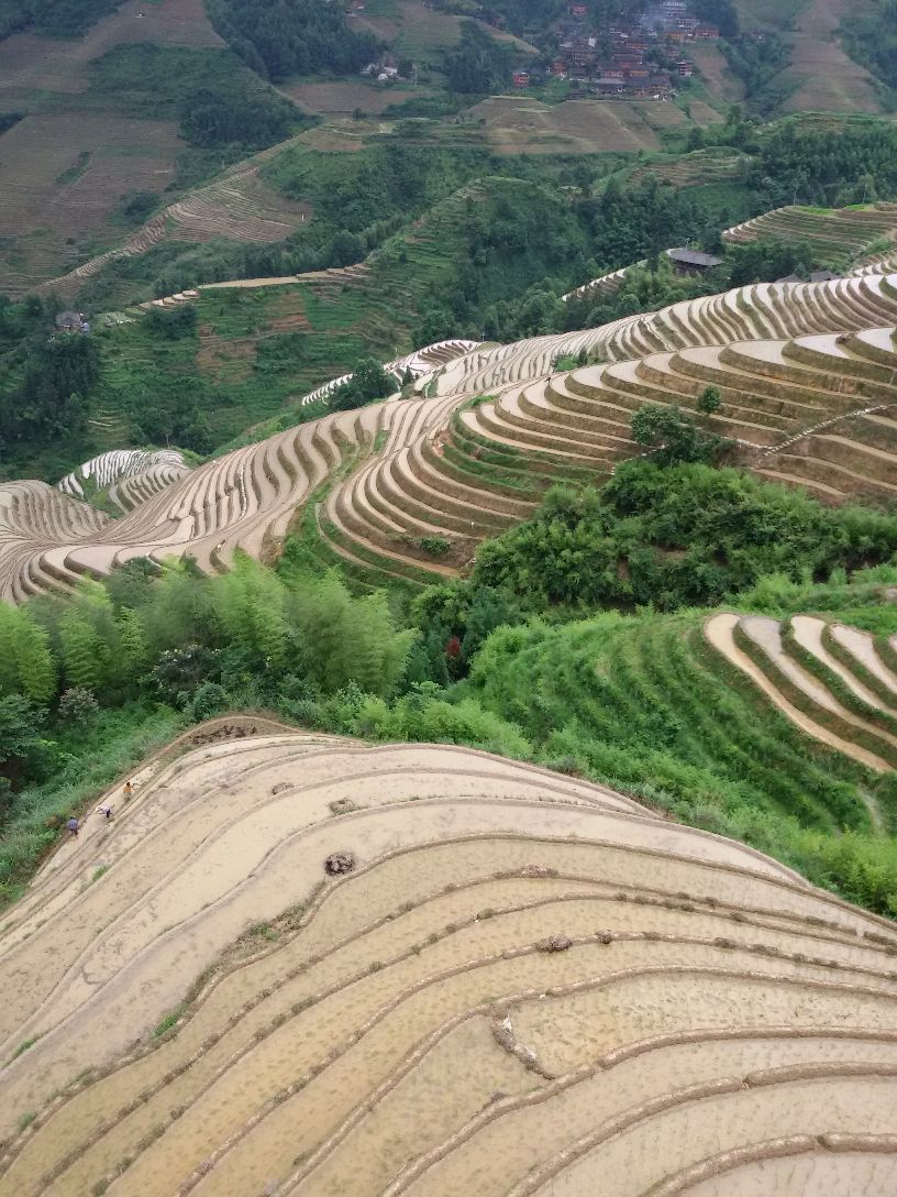 2018金坑梯田_旅游攻略_门票_地址_游记点评,龙脊梯田旅游景点推荐