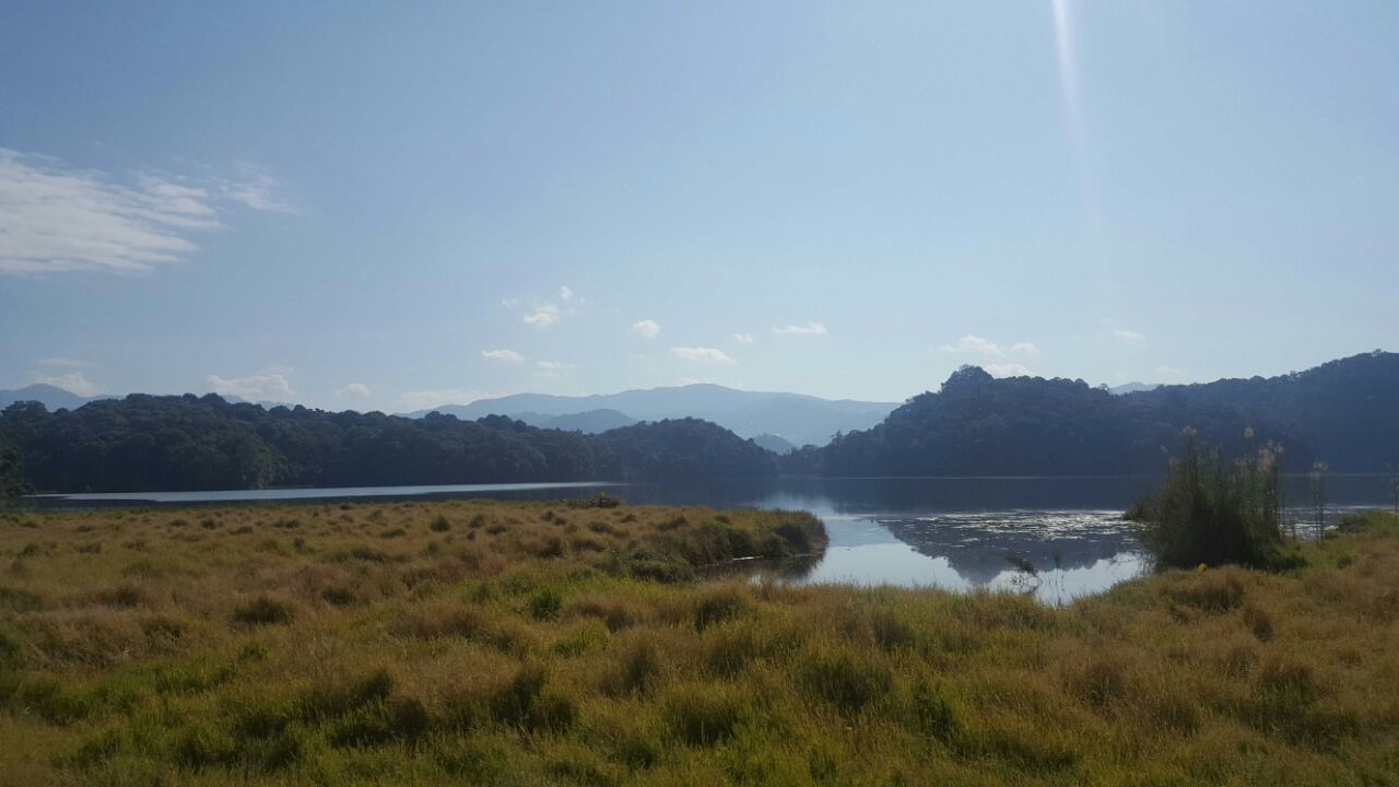 2019勐梭龙潭_旅游攻略_门票_地址_游记点评,普洱旅游景点推荐 - 去