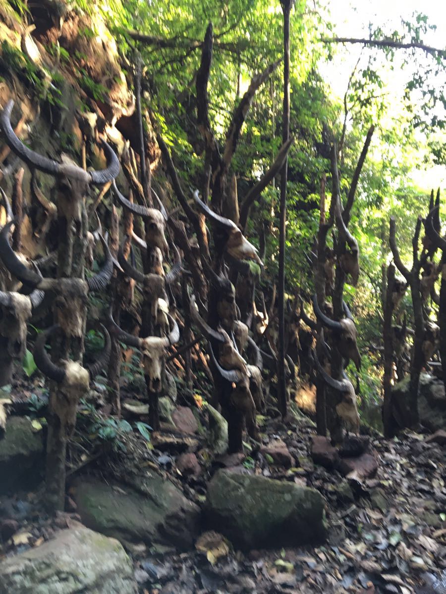 2019勐梭龙潭_旅游攻略_门票_地址_游记点评,普洱旅游景点推荐 - 去