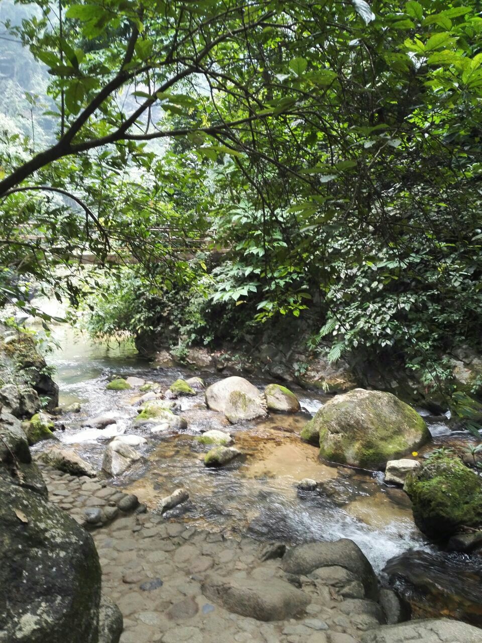 古龙山峡谷群