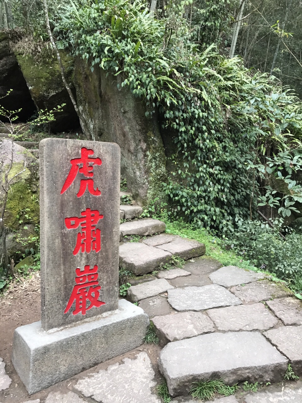 2019虎啸岩_旅游攻略_门票_地址_游记点评,武夷山旅游