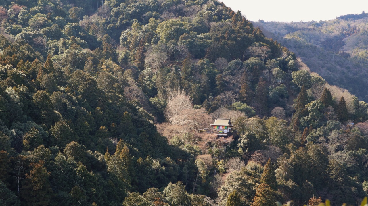 嵯峨野竹林