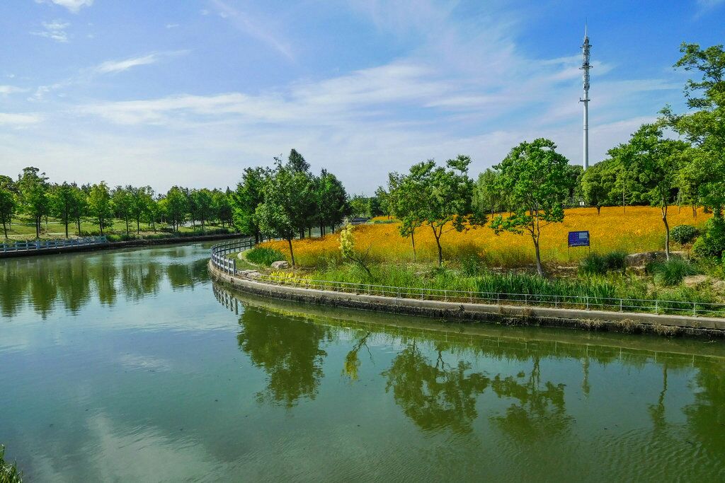 上海闵行文化公园好玩吗,上海闵行文化公园景点怎么样