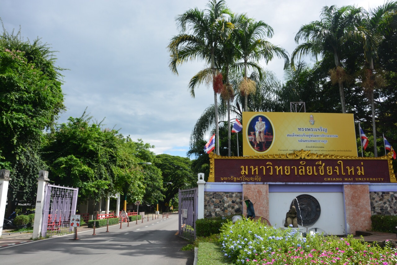 清迈大学