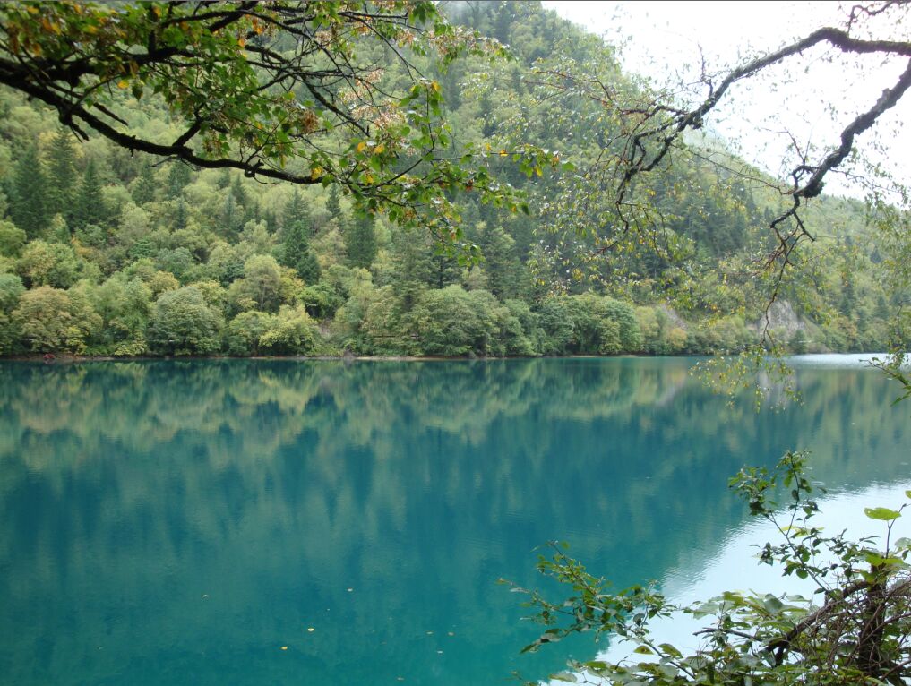 九寨沟看水,张家界看山。在大门口排队上车,其时有不断的宣传小车游览的,我觉得没有必要。上到景区游览车上,很有节奏的依次介绍经过的每个景点。诺日朗游客服务中心是日则沟和则查洼沟的分界点。游览车根据景区安排走的日则沟。我一路坐到最上面的原始森林,然后往下走,因为比较早且一些游客中途下车,这一路人都很少,我可以尽情的欣赏美景和照相,而且我还很有心的用相机录了一小段一小段的视频,留到回去后在好好回味。到了五花海就人多了起来,不过还能接受了。十一点多钟的时候,我遇到沿路卖的自热饭,25元一盒,坐在路边吃了一盒,我觉