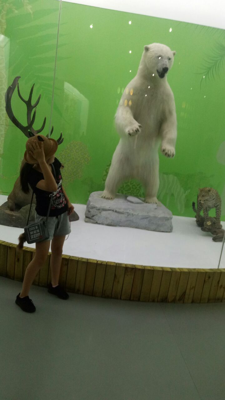 北京自然博物馆