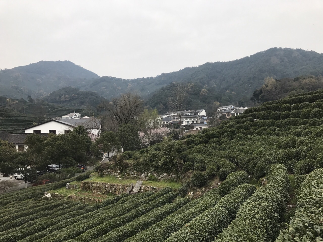 十里琅珰是杭州最美的登山路线,原指天竺山东,龙井村西,梅家坞村东北