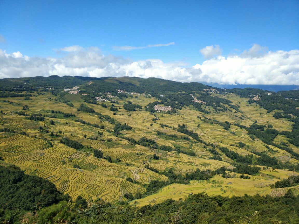 坝达景区