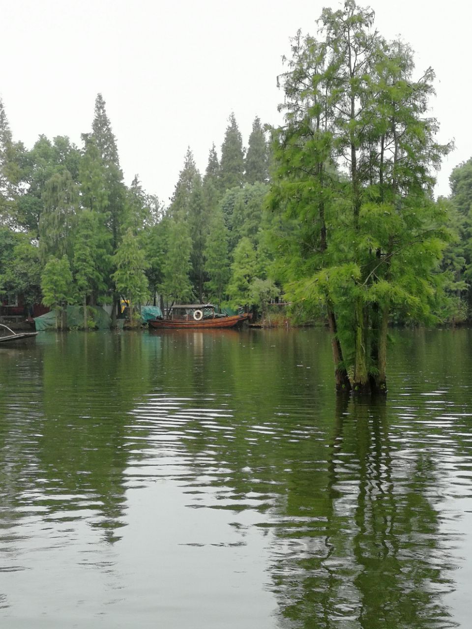 尚湖水上森林旅游景点攻略图