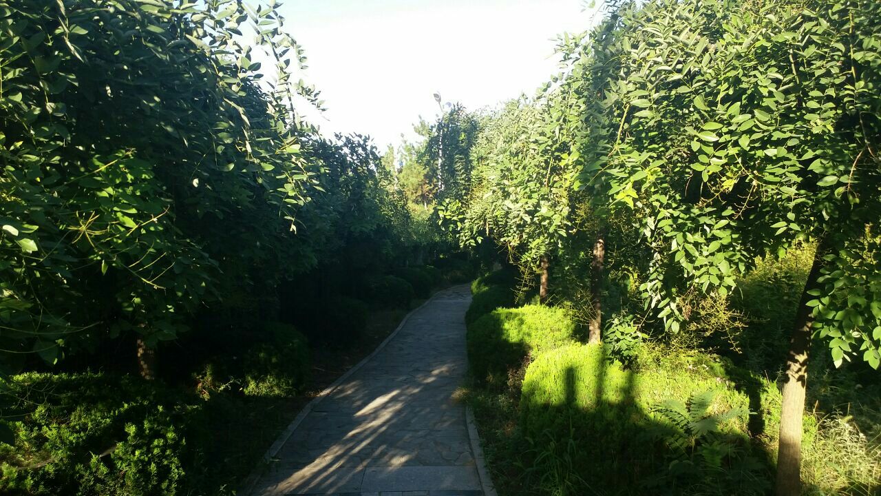 垛顶山公园旅游景点攻略图