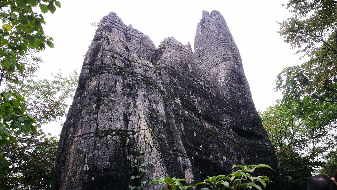 山王坪喀斯特国家生态公园