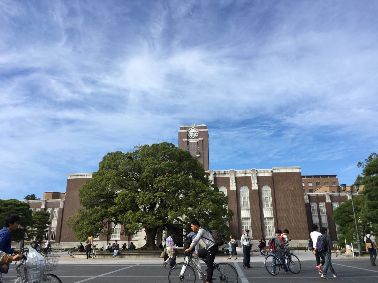 京都大学