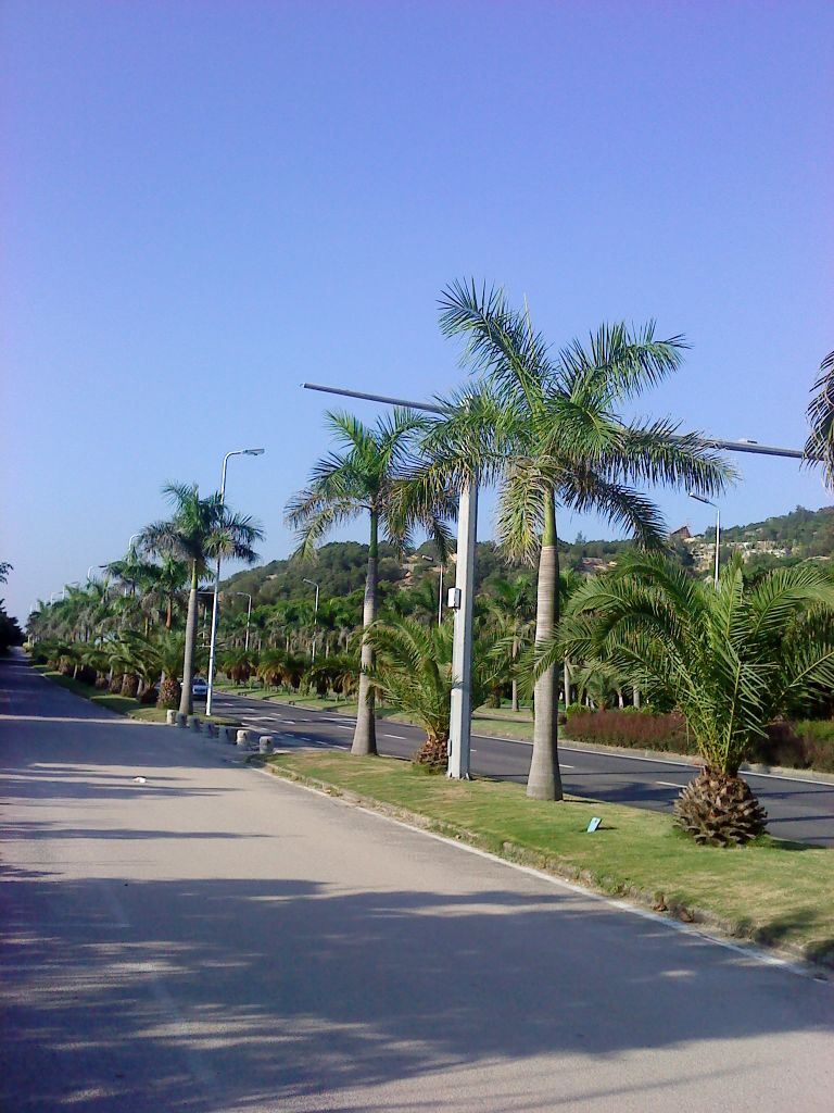 环岛路旅游景点攻略图