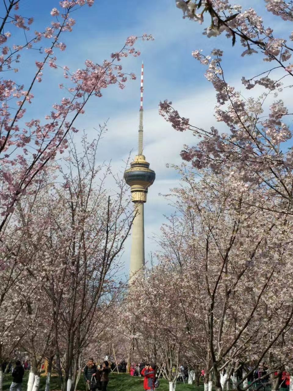 玉渊潭公园旅游景点攻略图