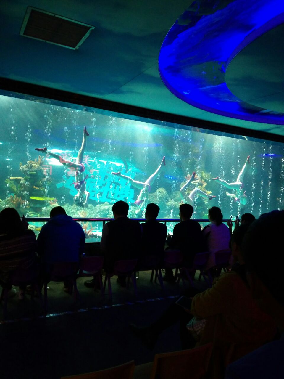 济南大明湖海底世界好玩吗,济南大明湖海底世界景点样