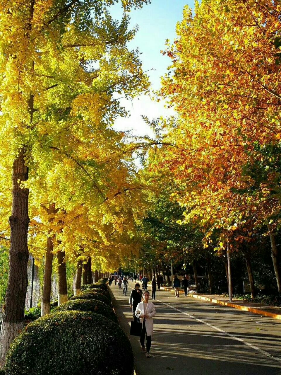 北京师范大学