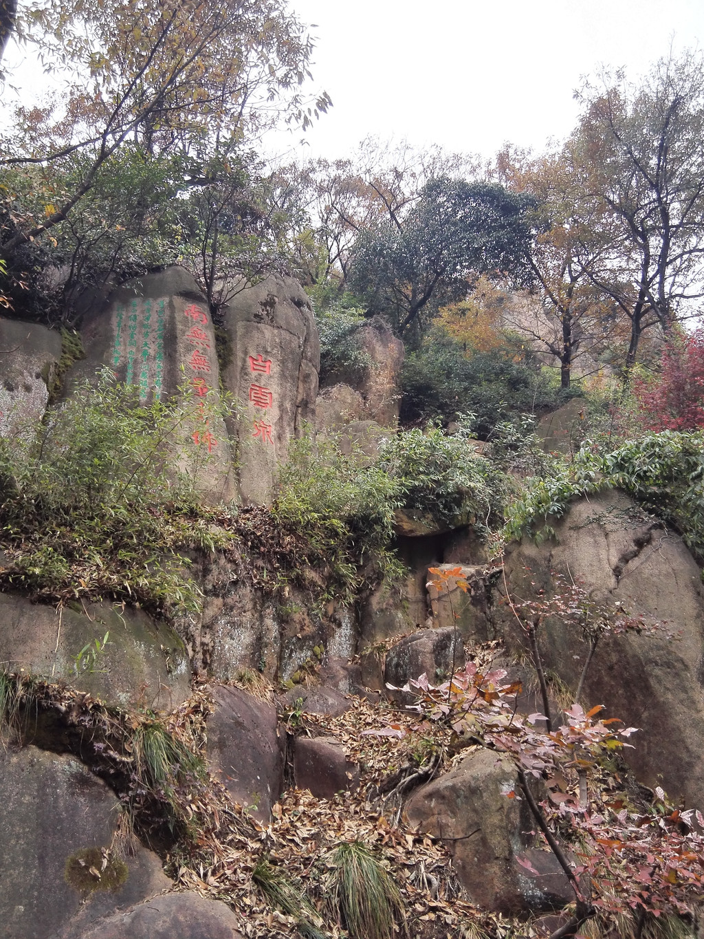 据说,当年池中央的钵盂,瓷色斑斓,为清雍正时物,上世纪"文化大革命"中