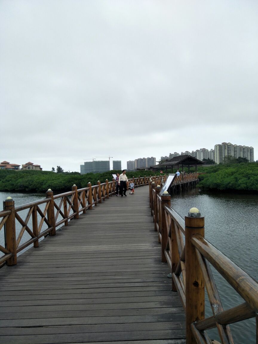 富力红树湾湿地公园