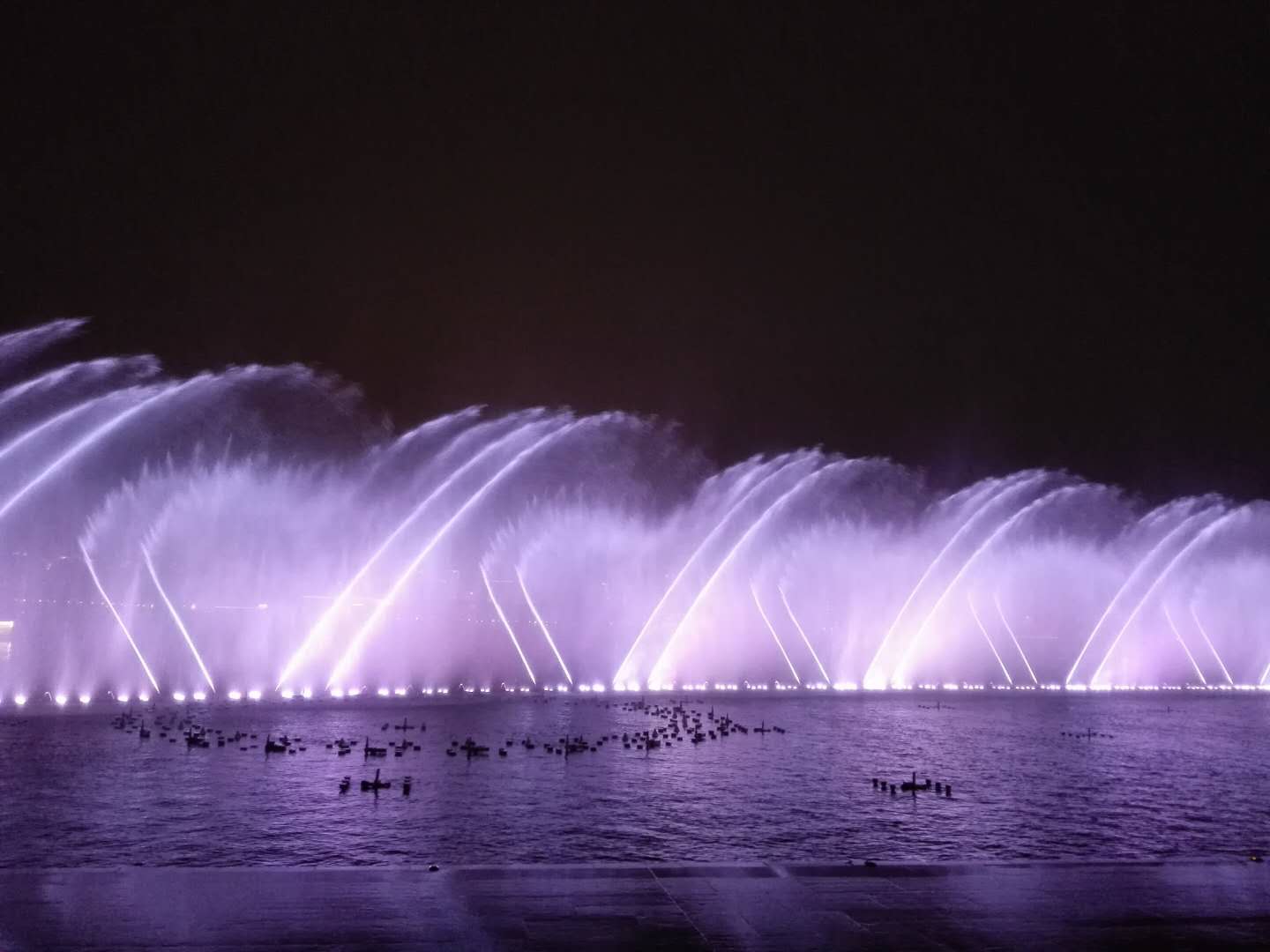 金鸡湖音乐喷泉亚洲第一.马路对面就是秋裤 2018-02-21有用 ( 2)