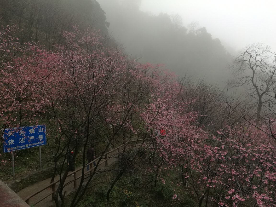 汝城旅游攻略指南? 携程攻略社区! 靠谱的旅游攻略平台,最佳的汝城自助游、自由行、自驾游、跟团旅线路,海量汝城旅游景点图片、游记、交通、美食、购物、住宿、娱乐、行程、指南等旅游攻略信息,了解更多汝城旅游信息就来携程旅游攻略。