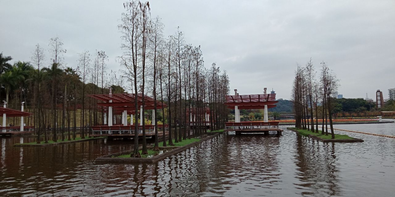 千灯湖公园旅游景点攻略图
