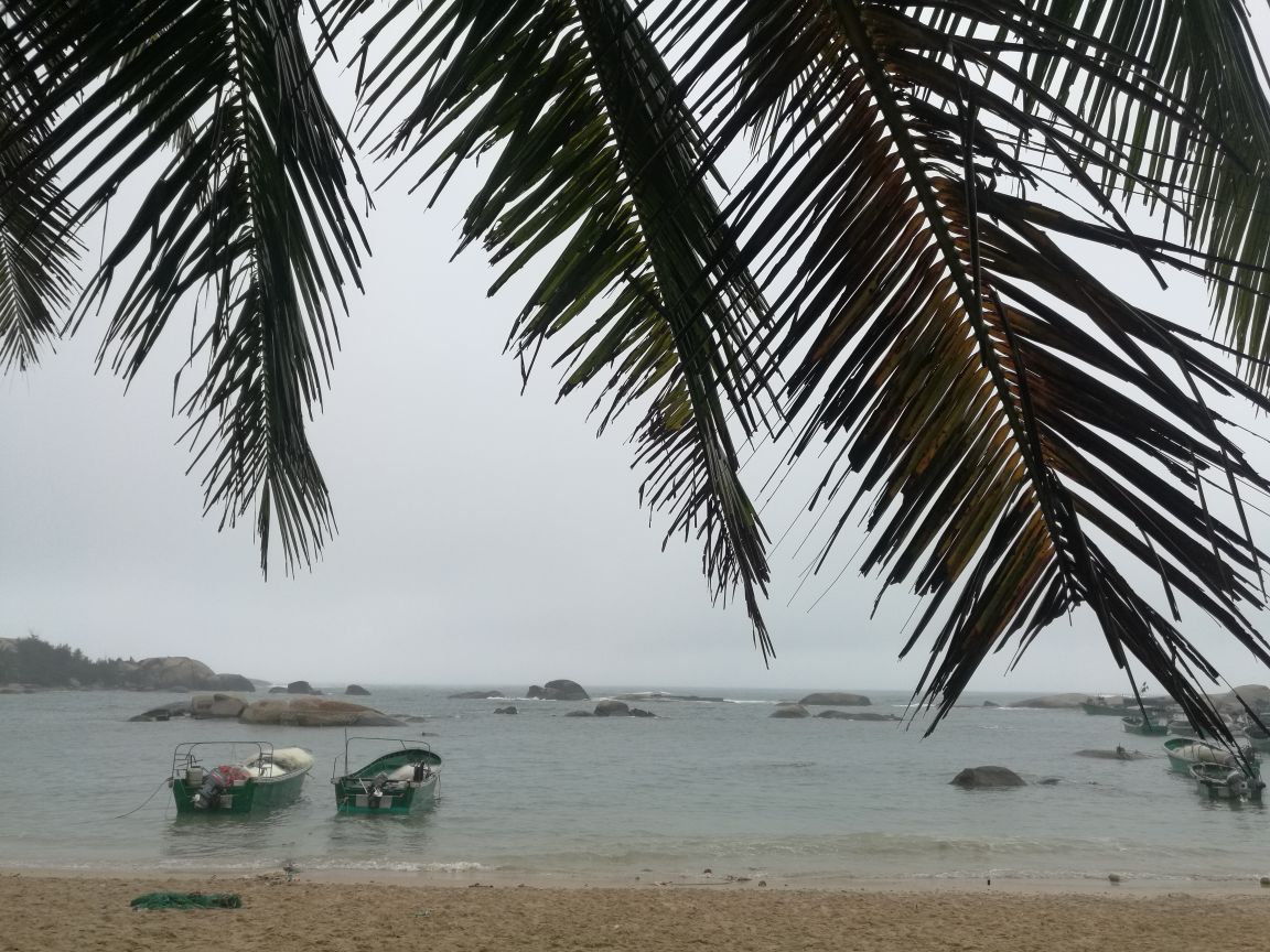 2019东郊椰林_旅游攻略_门票_地址_游记点评,文昌旅游