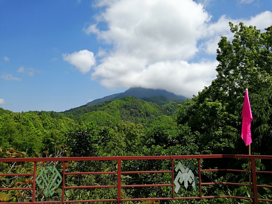 五指山热带雨林风景区