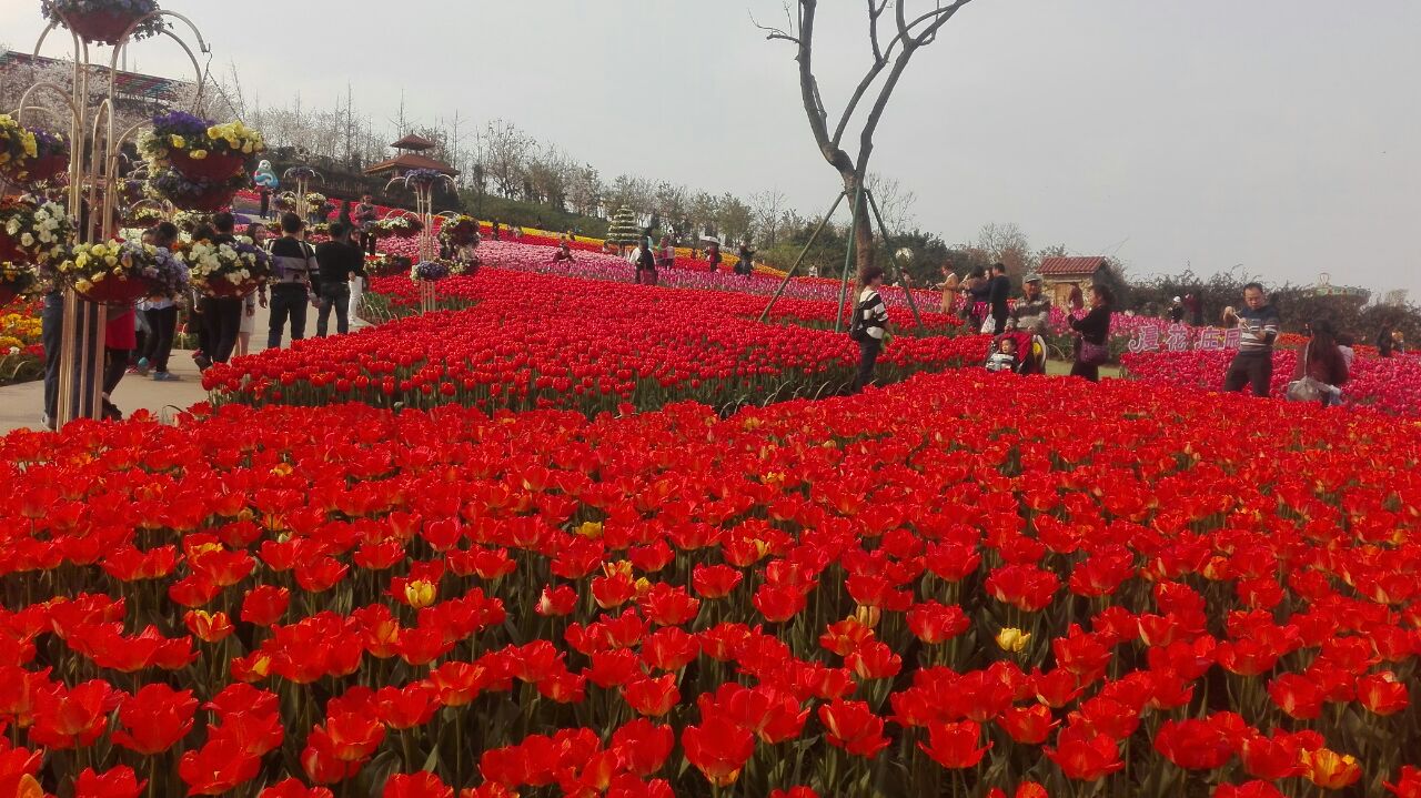 漫花庄园