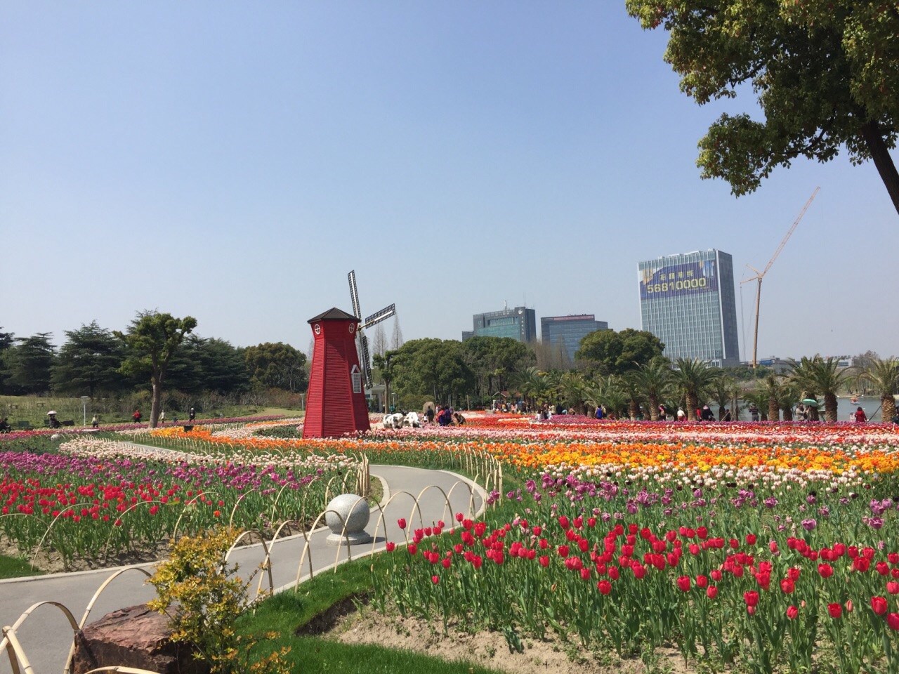 2019大宁郁金香公园_旅游攻略_门票_地址_游记点评,上海旅游景点推荐