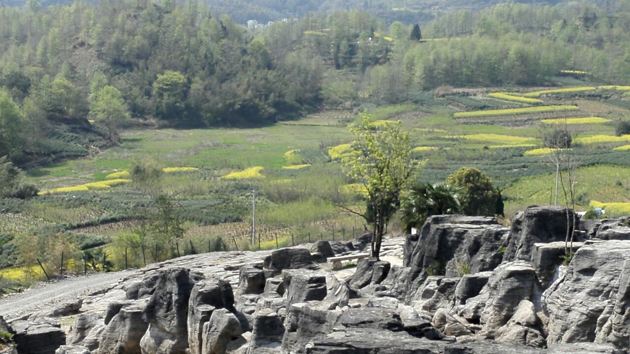 黟县西递石林景区好玩吗,黟县西递石林景区景点怎么样