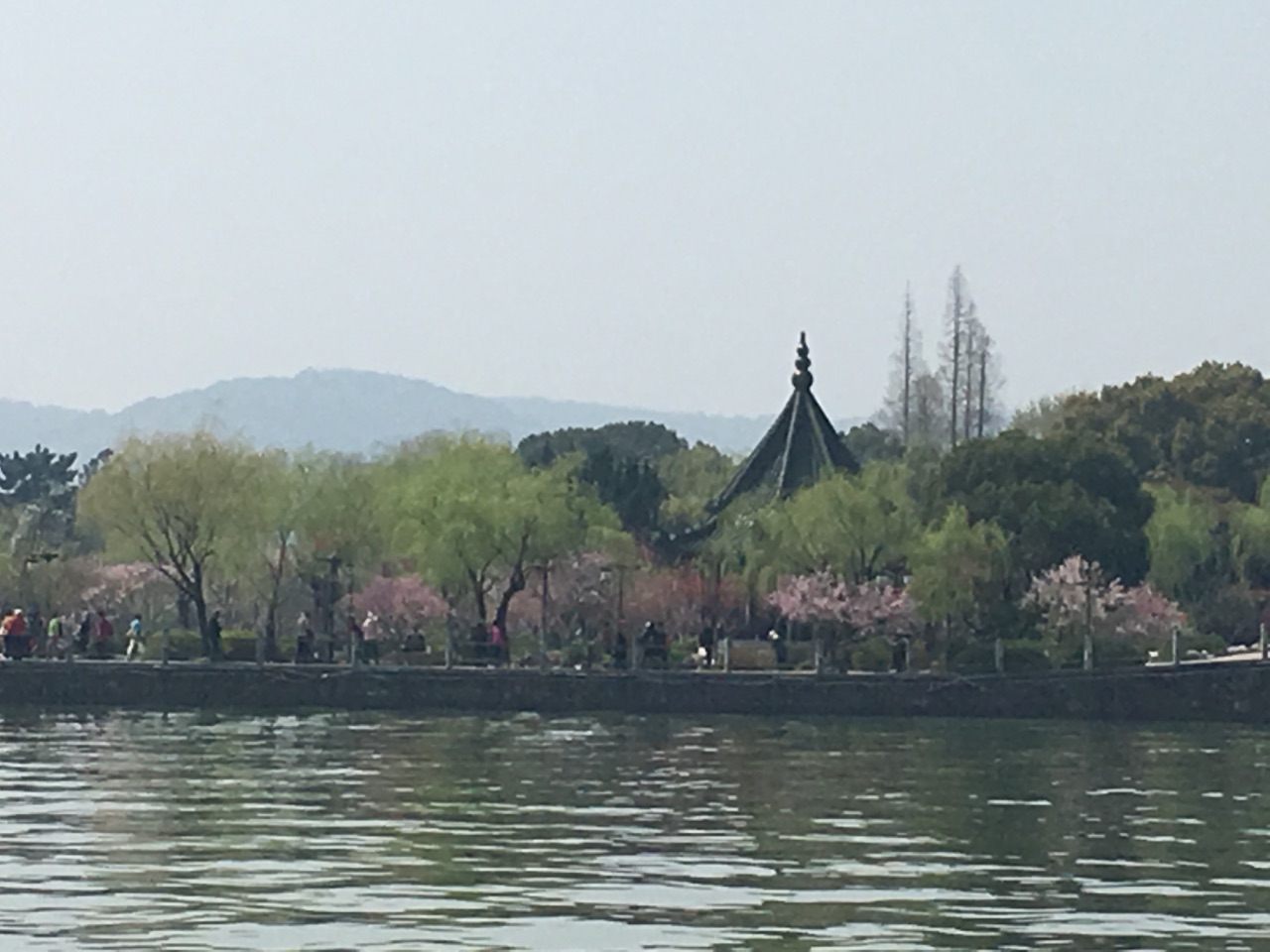 首推蠡园沿水边的长堤,一棵柳树一棵桃树红绿间隔,在春风的吹拂下别有