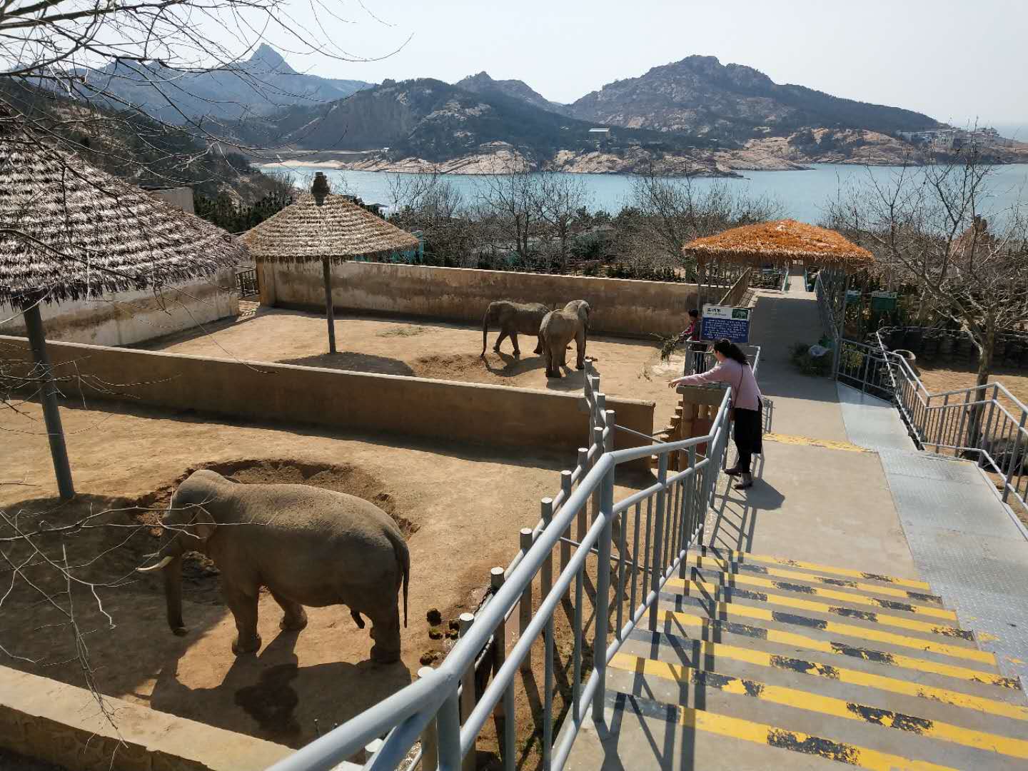 神雕山野生动物自然保护区