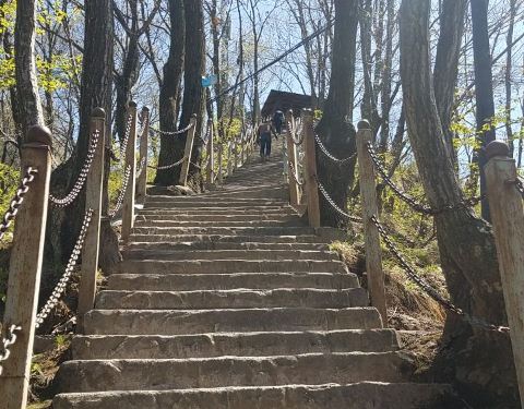 2019红河谷森林公园攻略,成都红河谷森林公园门票植物园眉县图片
