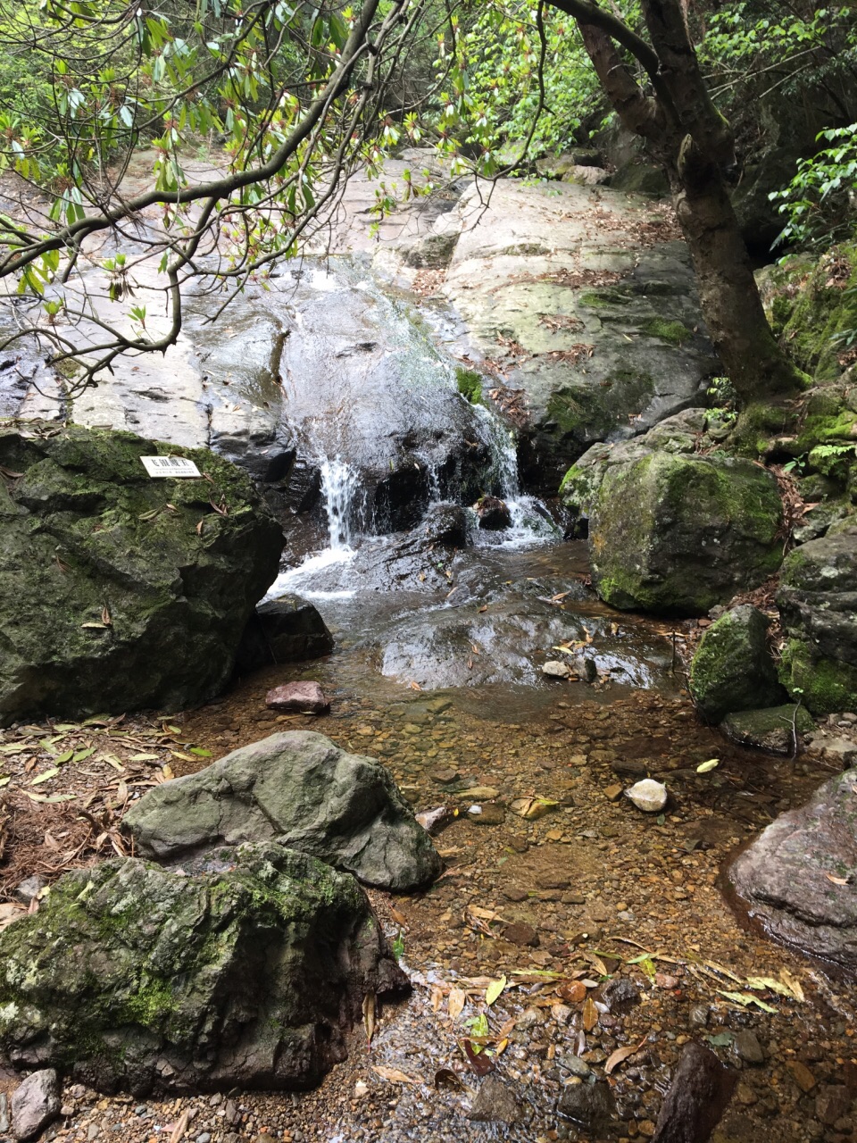 天目山天目山景区好玩吗,天目山天目山景区景点怎么样