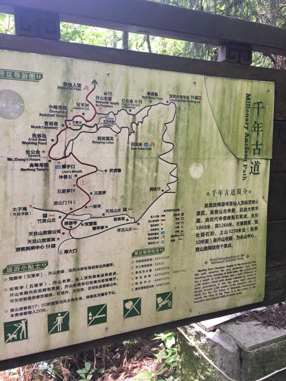 天目山天目山景区好玩吗,天目山天目山景区景点怎么样